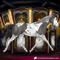 Horse Color:Grullo Splash Tobiano 