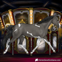 Horse Color:Grullo Splash Tobiano