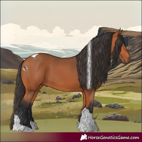 Horse Color:Bay Tobiano 