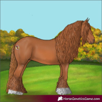 Horse Color:Chestnut Tobiano