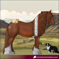 Horse Color:Chestnut Tobiano 