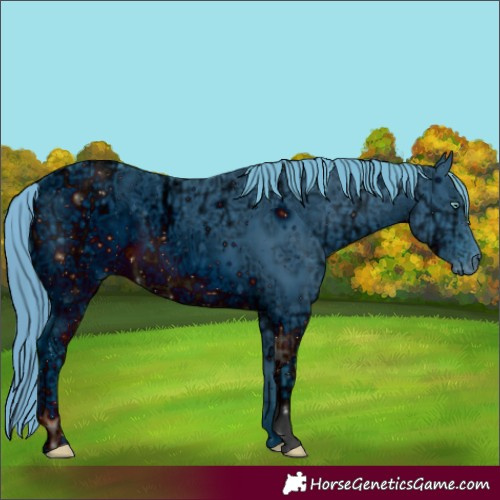 Horse Color:ERROR: UNKNOWN ANOMALY