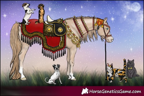 Horse Color:Smoky Creme Sabino Rabicano 