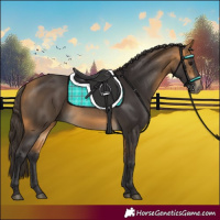 Horse Color:Buckskin 