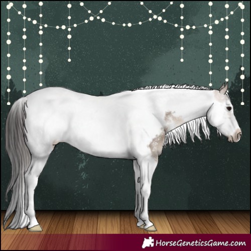 Horse Color:Brown Dun Sabino Tobiano Frame Rabicano 