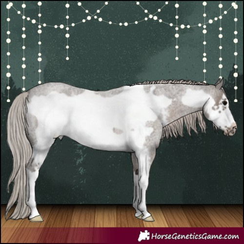 Horse Color:Silver Blue Roan Sabino Frame 