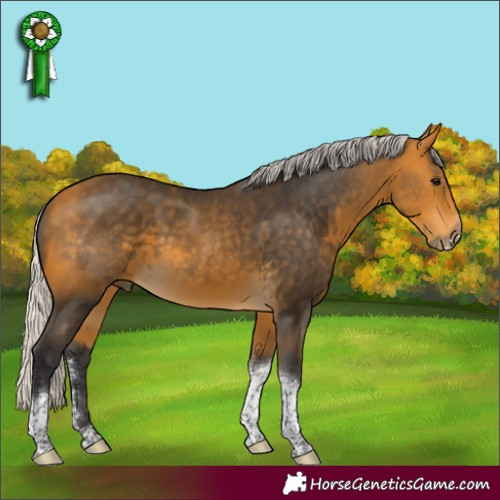 Horse Color:Silver Buckskin Sabino Tobiano Rabicano 
