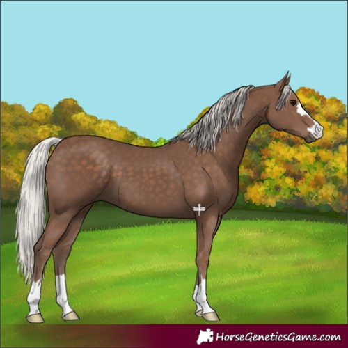 Horse Color:Silver Black 