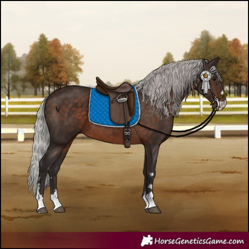 Horse Color:Silver Brown 