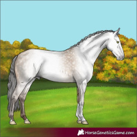 Horse Color:Gray Amber Champagne Dun Tobiano 