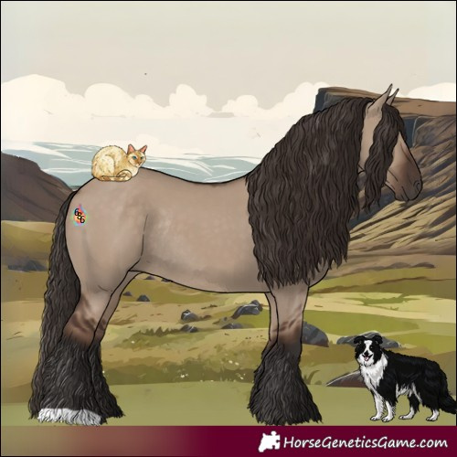 Horse Color:Liver Red Dun Rabicano 
