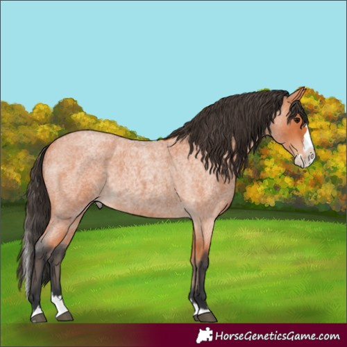 Horse Color:Unknown 