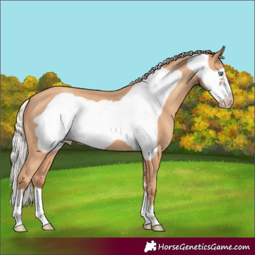 Horse Color:Silver Classic Champagne Frame 