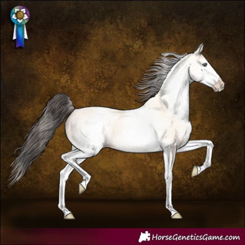 Horse Color:White Spotted Amber Cream Champagne 