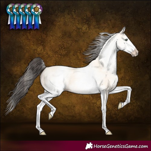 Horse Color:White Spotted Amber Cream Champagne 