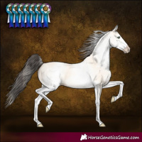 Horse Color:White Spotted Amber Cream Champagne 