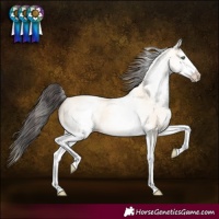 Horse Color:White Spotted Amber Cream Champagne 