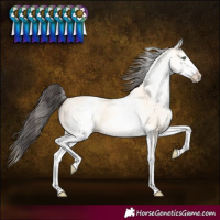 Horse Color:White Spotted Amber Cream Champagne 