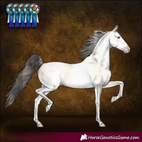 Horse Color:White Spotted Amber Cream Champagne 