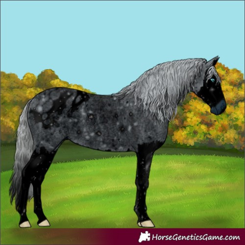 Horse Color:ERROR: UNKNOWN ANOMALY