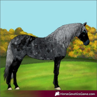 Horse Color:ERROR: UNKNOWN ANOMALY
