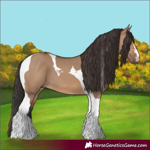 Horse Color:Bay Dun Tobiano 