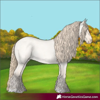 Horse Color:Perlino Roan Dun