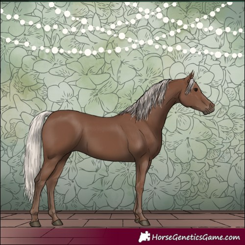Horse Color:Silver Black