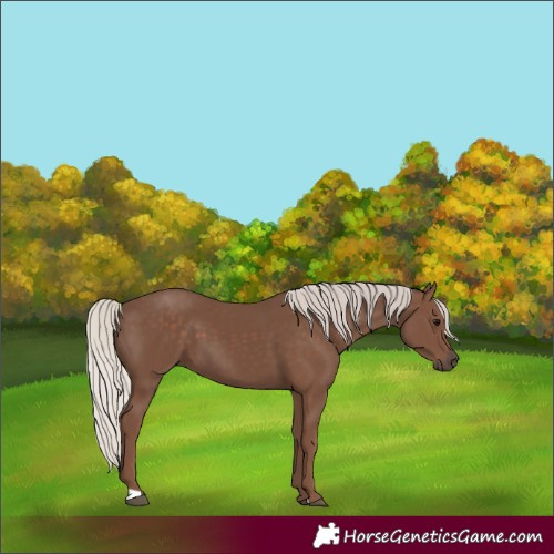 Horse Color:Silver Black 