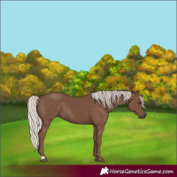 Horse Color:Silver Black 