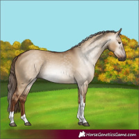 Horse Color:Gray Red Dun Tobiano 