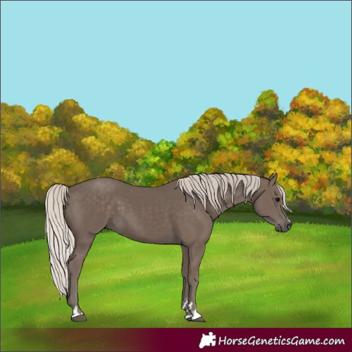 Horse Color:Silver Black 