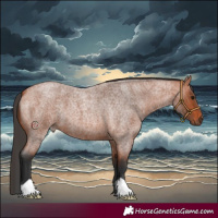 Horse Color:Bay Roan