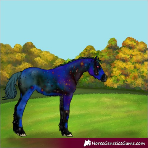 Horse Color:ERROR: UNKNOWN ANOMALY