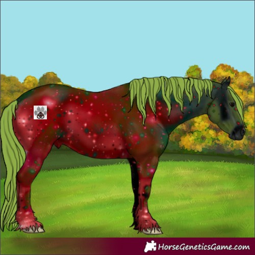 Horse Color:ERROR: UNKNOWN ANOMALY