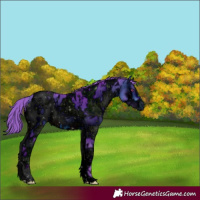 Horse Color:ERROR: UNKNOWN ANOMALY