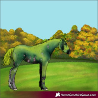 Horse Color:ERROR: UNKNOWN ANOMALY