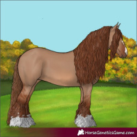 Horse Color:Red Dun 