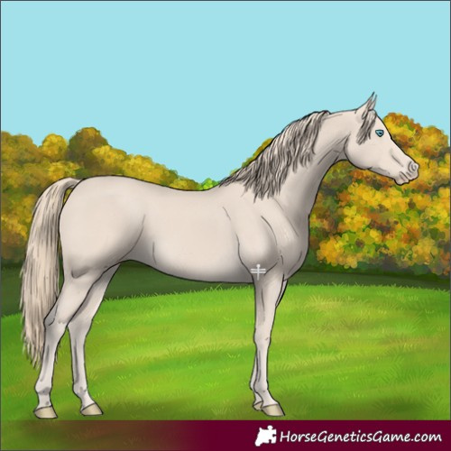 Horse Color:Smoky Creme 