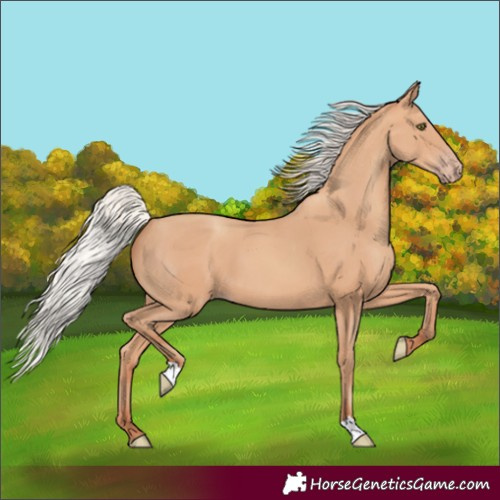 Horse Color:Silver Amber Champagne 