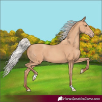 Horse Color:Silver Amber Champagne