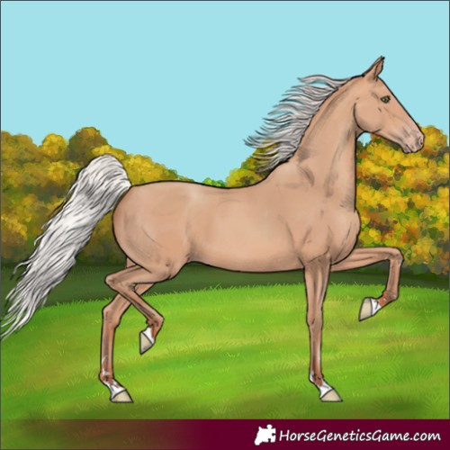 Horse Color:Silver Amber Champagne 