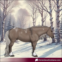 Horse Color:Powder White Silver Grullo Tobiano 