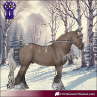 Horse Color:Powder White Silver Grullo Tobiano 