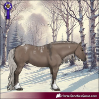 Horse Color:Powder White Silver Grullo Tobiano 
