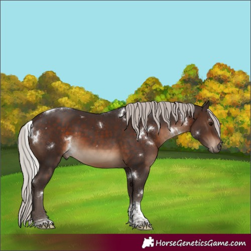 Horse Color:White Spotted Silver Brown Tobiano 