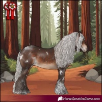 Horse Color:White Spotted Silver Brown Tobiano