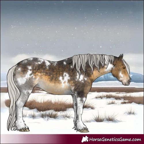 Horse Color:White Spotted Silver Buckskin Tobiano 