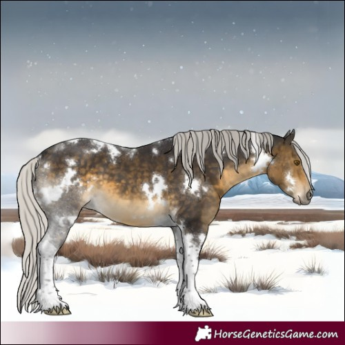 Horse Color:White Spotted Silver Buckskin Tobiano 