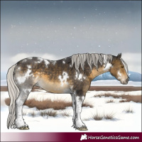 Horse Color:White Spotted Silver Buckskin Tobiano 